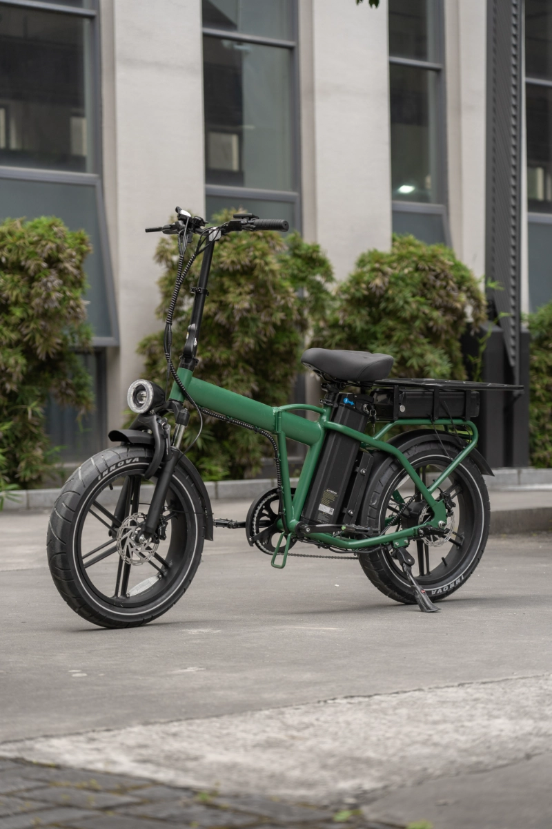 Leverancier van stedelijke elektrische fietsen voor op maat gemaakte e-bikes met dikke banden