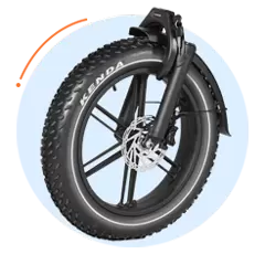 Populaire e-bike met dikke banden