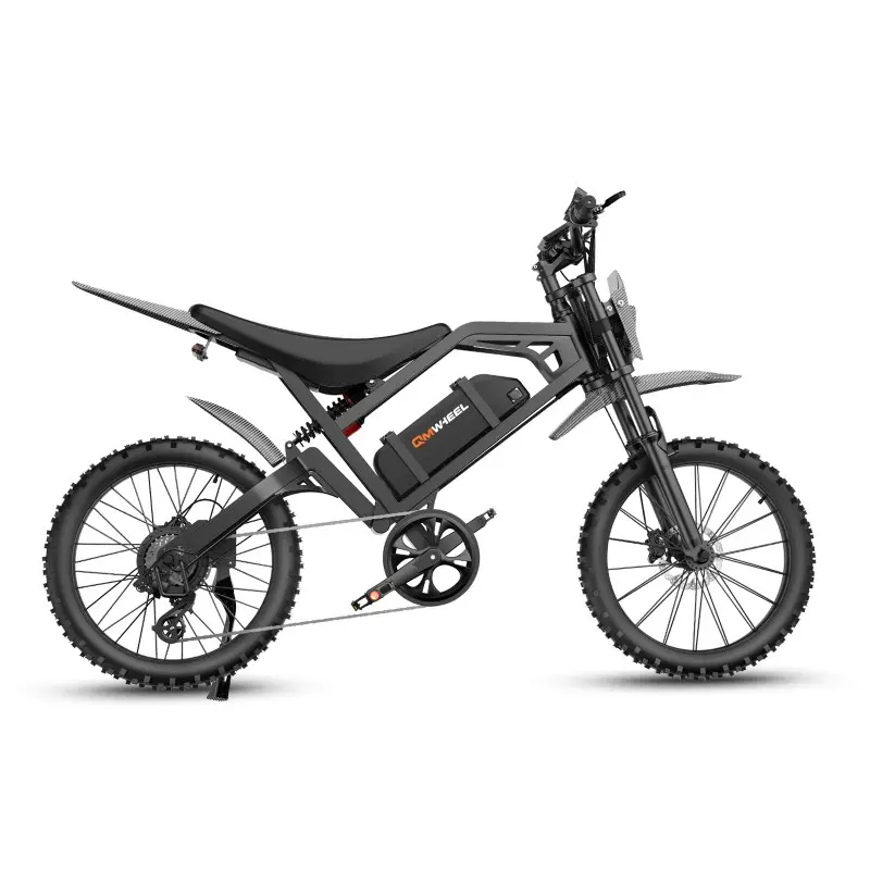 V20Kruis