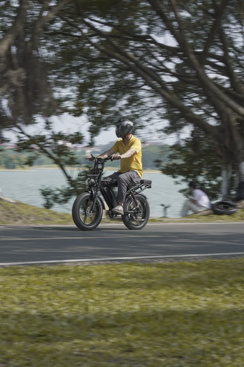 OEM elektrische motorfietsoplossingen voor veelgevraagd stadsverkeer