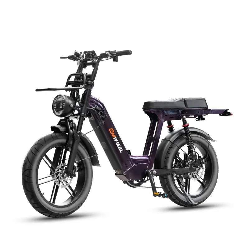 City Commuter Ebike met langeafstandsbatterij City Commuter Ebike met langeafstandsbatterij