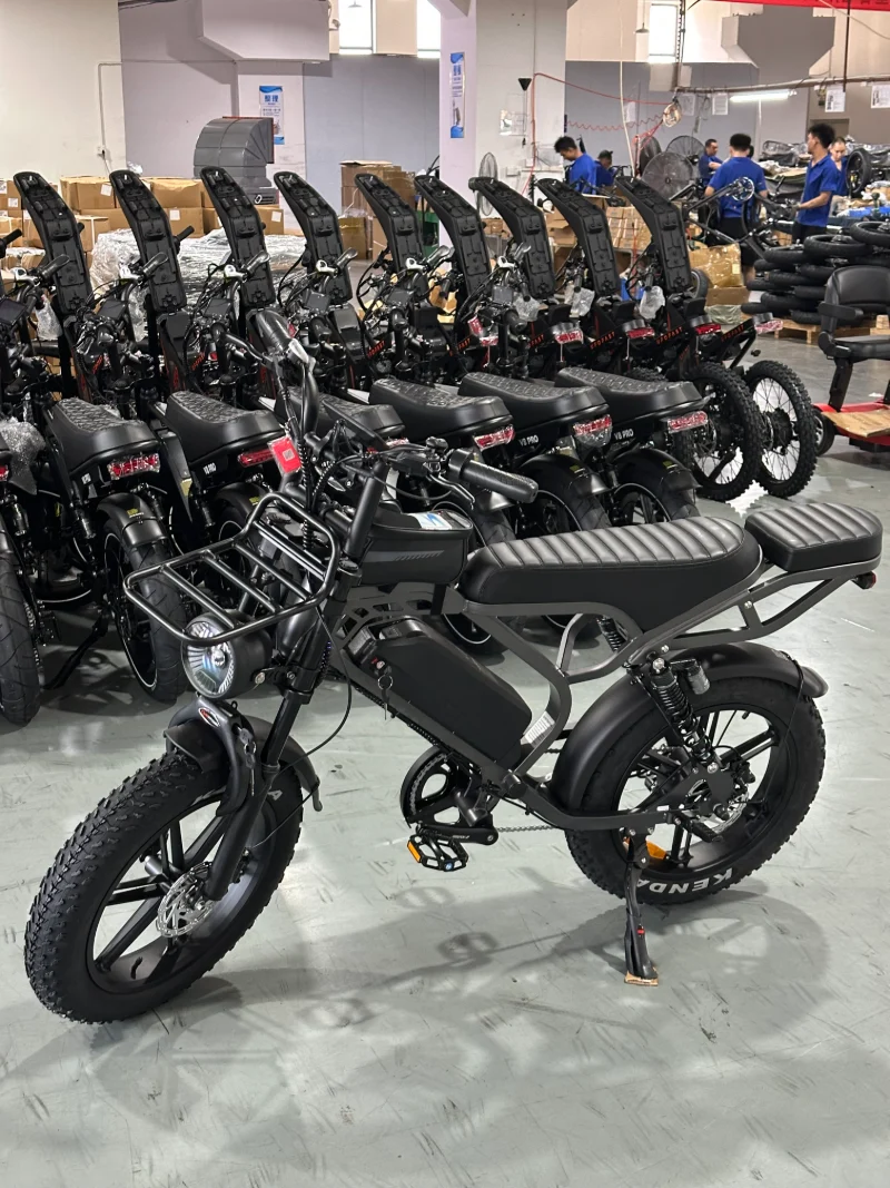Ebike met dikke banden voor lange afstanden