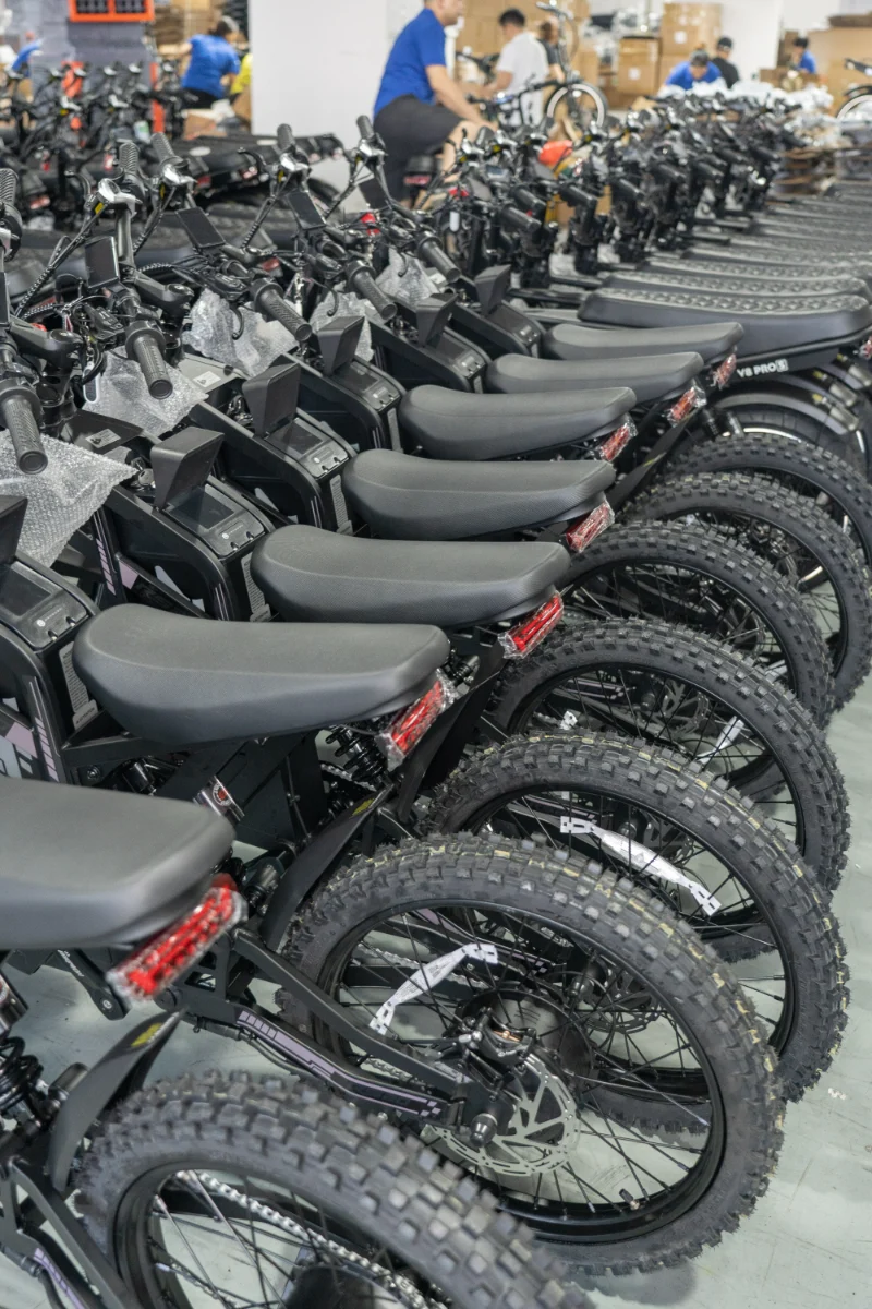 Elektrische fiets met dikke banden voor alle terreinen en dubbele batterijopties voor groot bereik