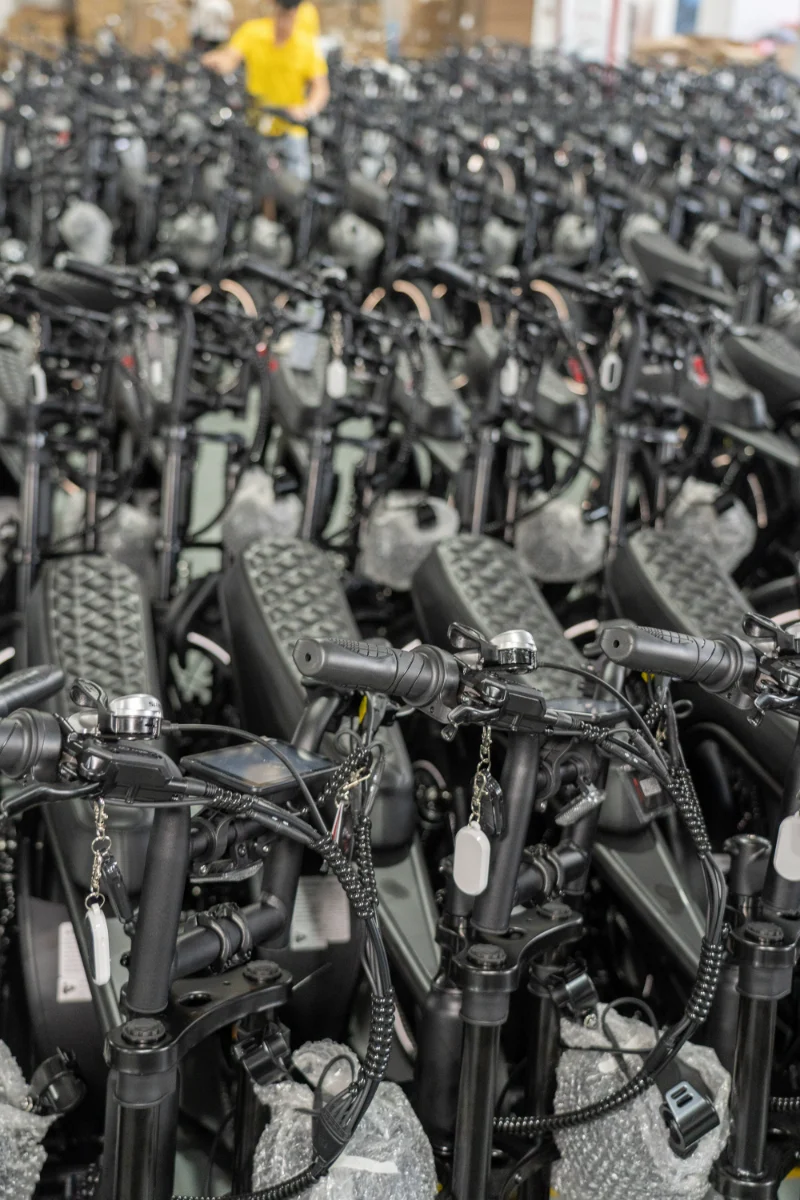 Elektrische fiets met dikke banden voor alle terreinen