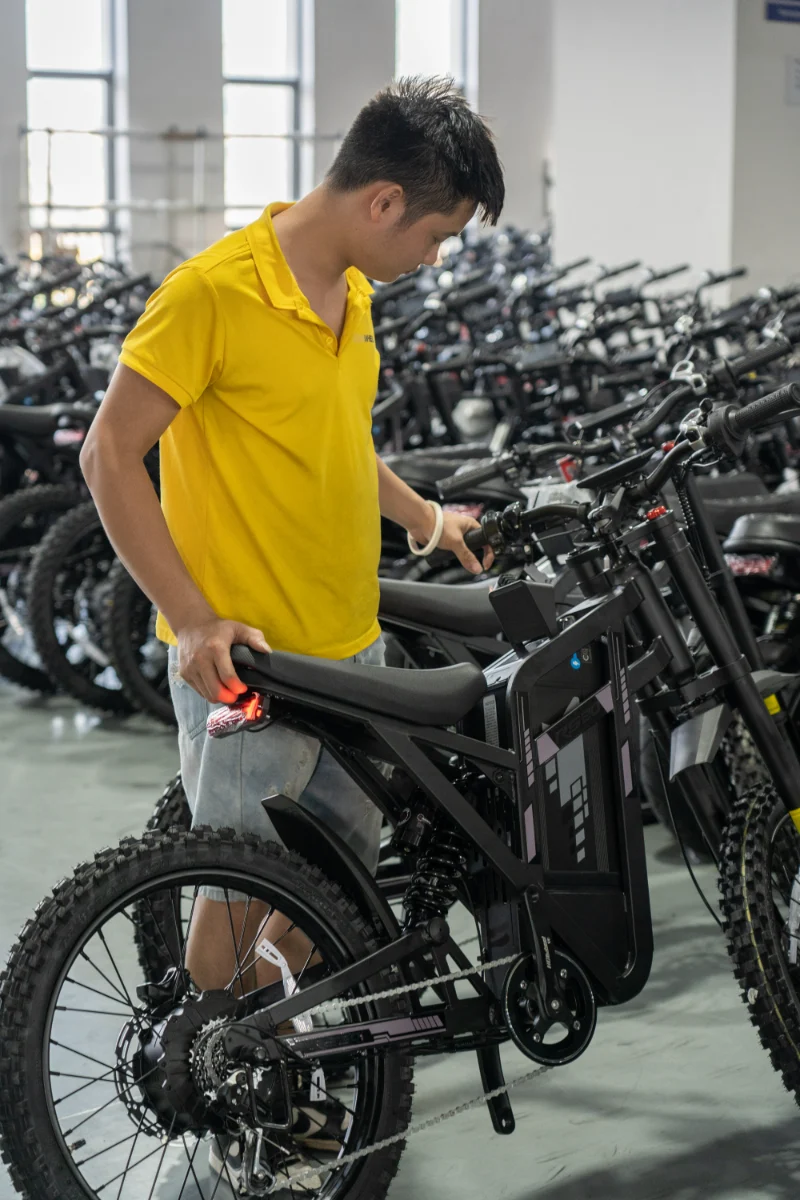 Elektrische fiets met dikke banden voor alle terreinen