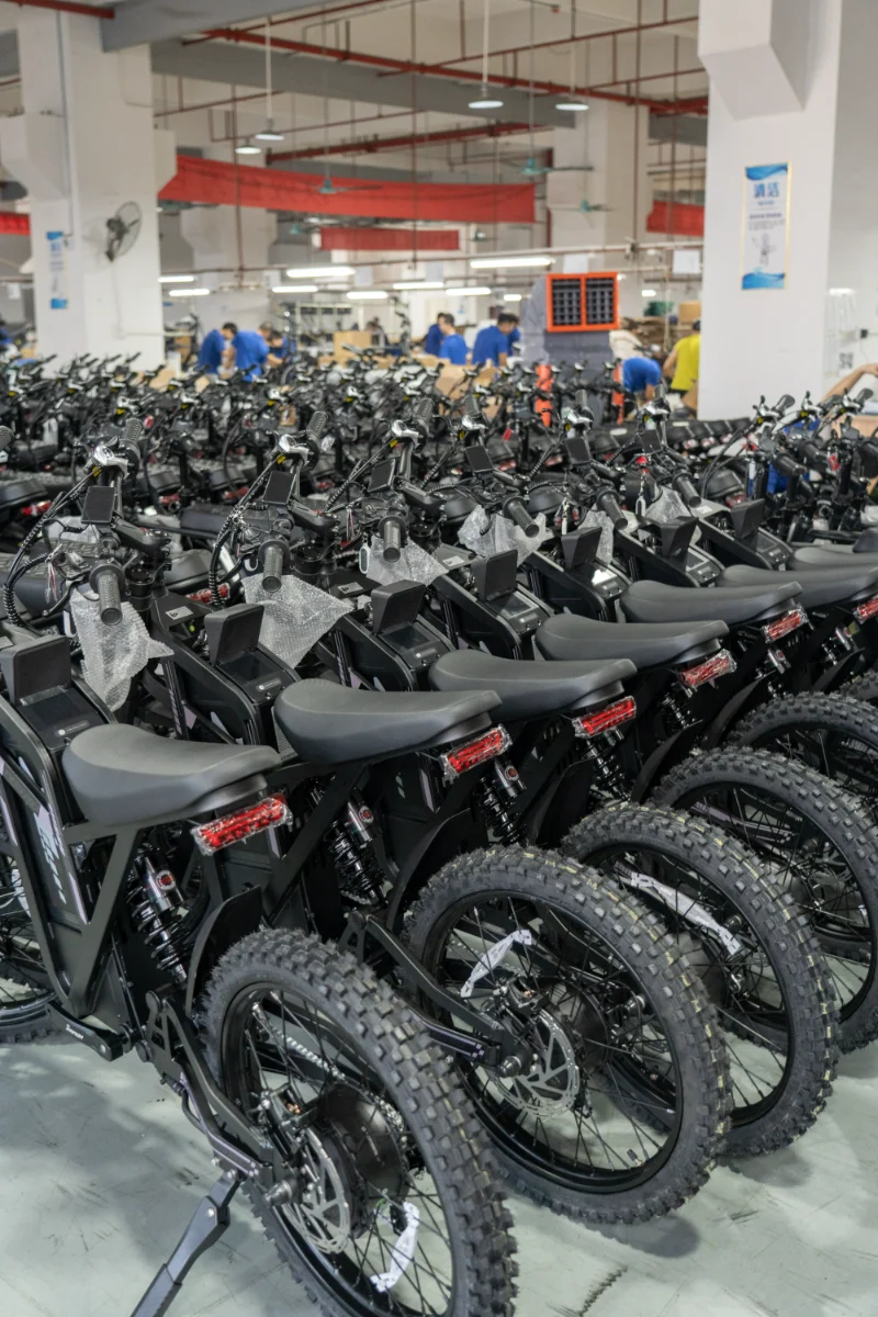 Elektrische fiets met dubbele batterij en dikke banden voor onverharde wegen en buitenavonturen