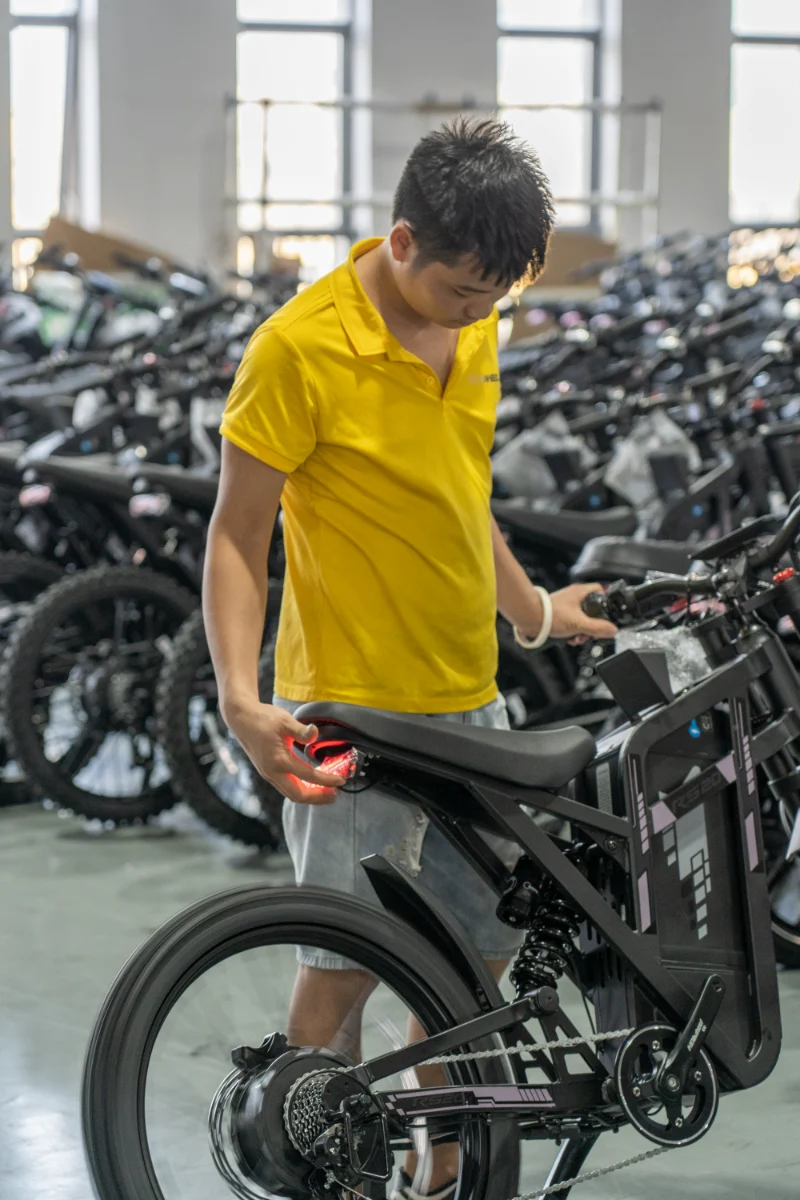 Elektrische fiets met dikke banden voor alle terreinen