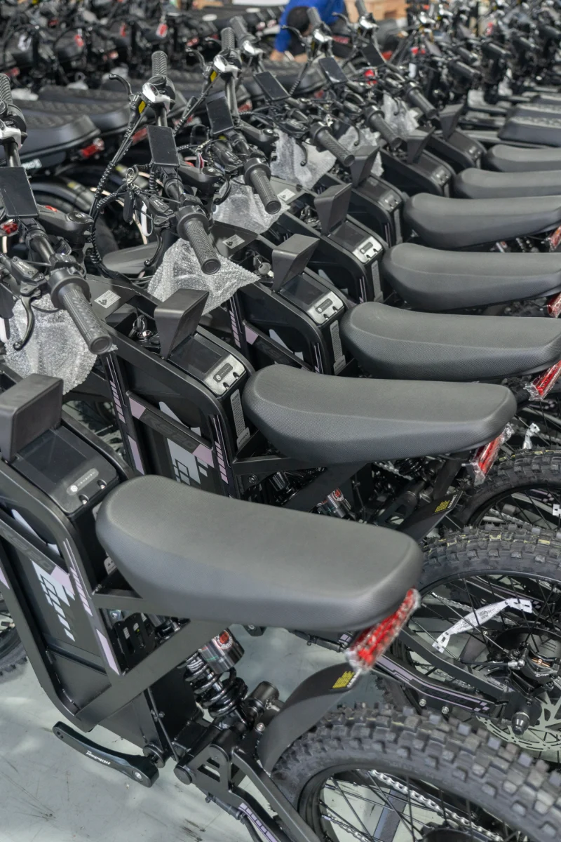 Elektrische fiets met dubbele accu en dikke banden Elektrische fiets met dubbele accu en dikke banden