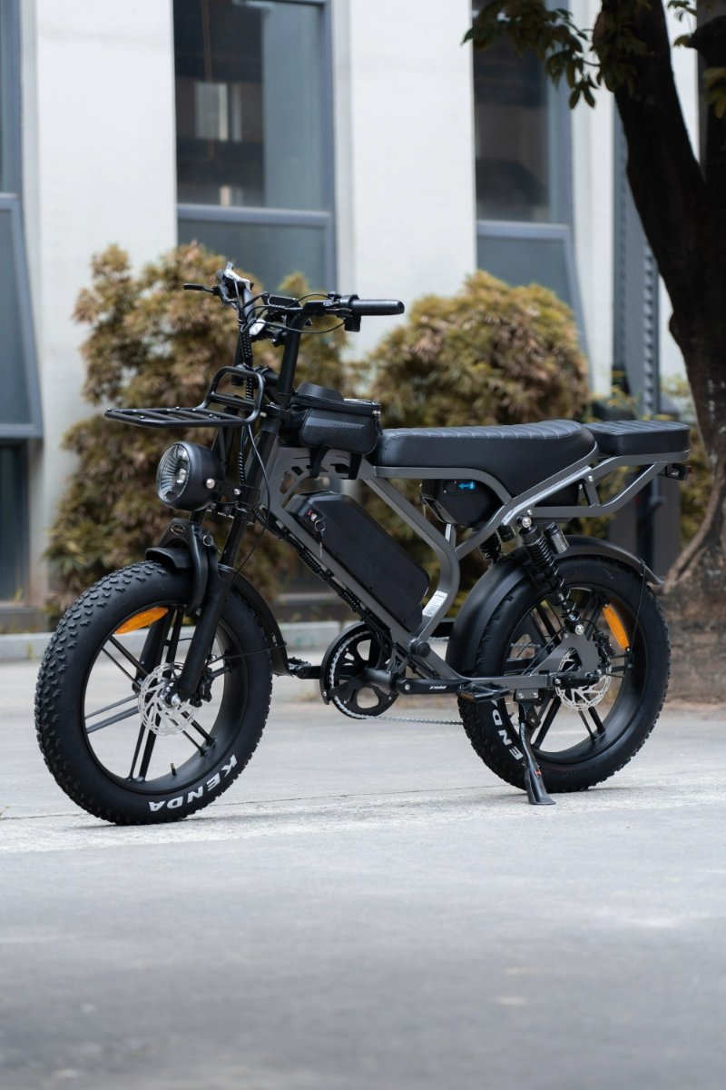 Hoe OEM-op maat gemaakte elektrische fietsen met dikke banden merken helpen nichemarkten te bereiken