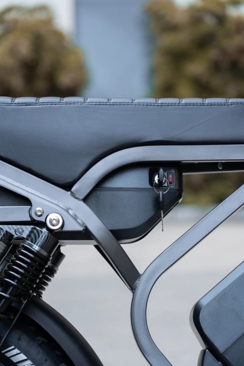 Elektrische fietsen met dikke banden