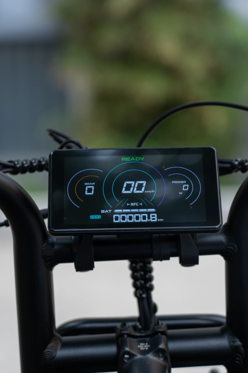 OEM aangepaste elektrische fietsen met dikke banden OEM aangepaste elektrische fietsen met dikke banden