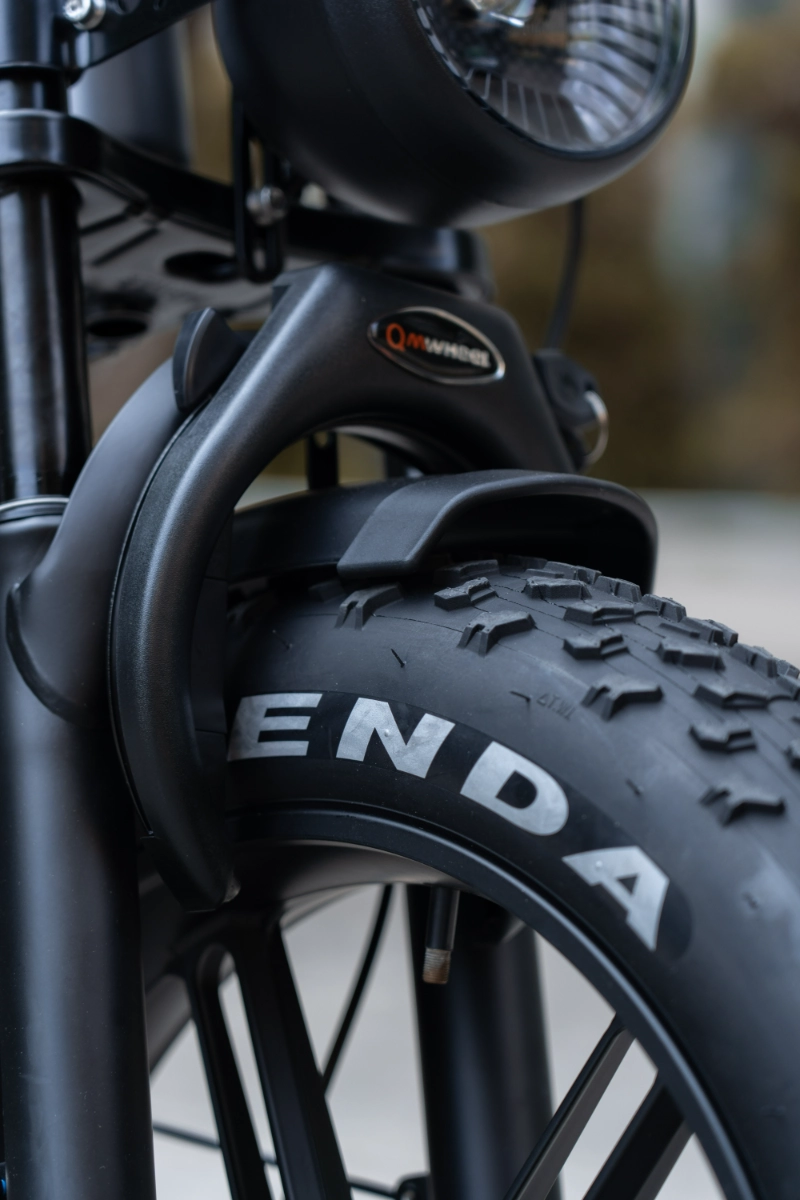 Elektrisch fatbike-ontwerp voor alle terreinen voor woon-werkverkeer en offroad-comfort