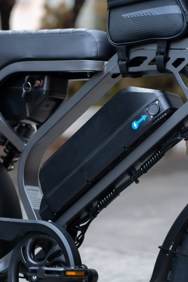 Elektrische vetfiets voor alle terreinen Elektrische vetfiets voor alle terreinen
