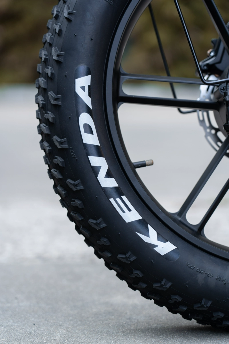 Ebike met dikke banden voor lange afstanden