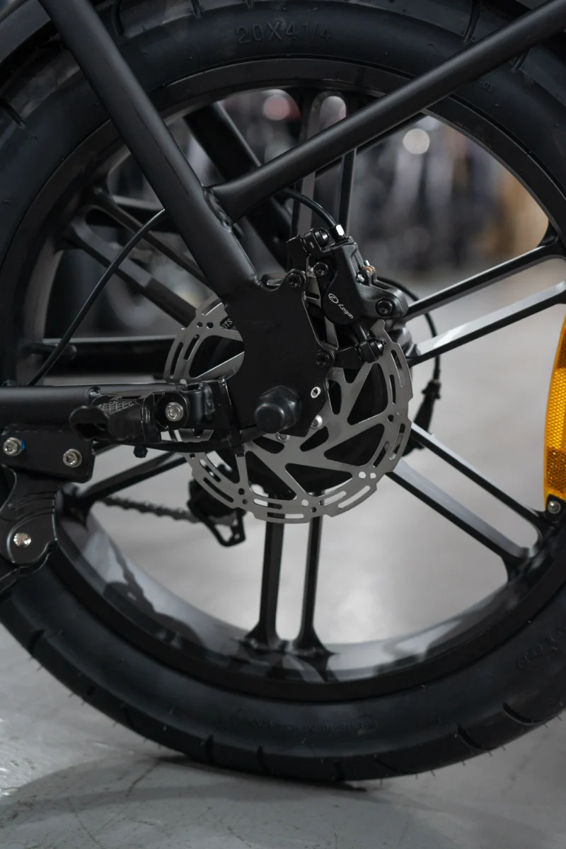 Aangepaste stedelijke elektrische fietsen Aangepaste stedelijke elektrische fietsen